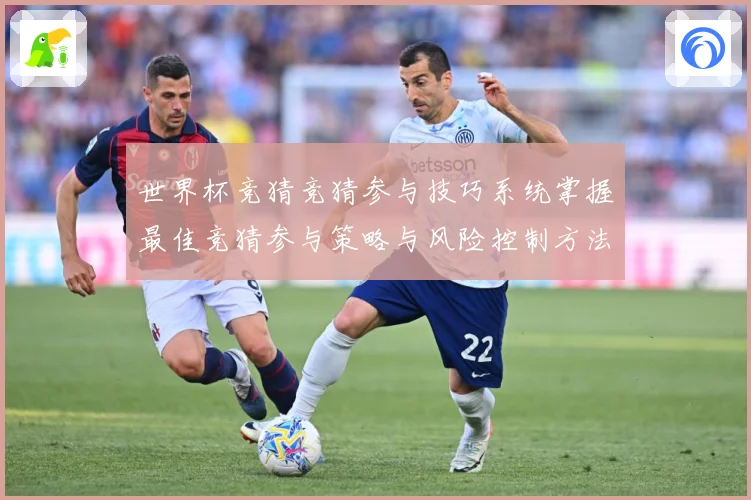 世界杯竞猜竞猜参与技巧系统掌握最佳竞猜参与策略与风险控制方法数据研判