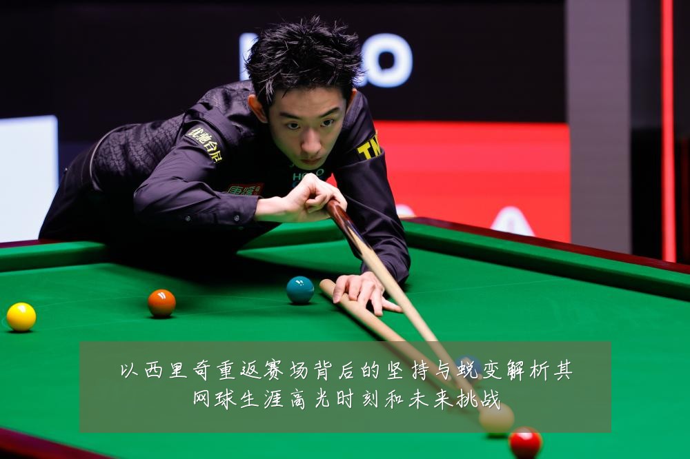 以西里奇重返赛场背后的坚持与蜕变解析其网球生涯高光时刻和未来挑战