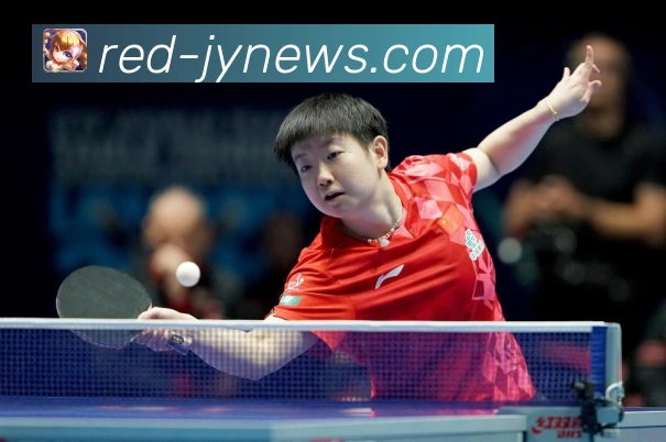 张伟丽对阵者冠军:UFC关键对位解读 张伟丽对阵者冠军:UFC关键对位解读